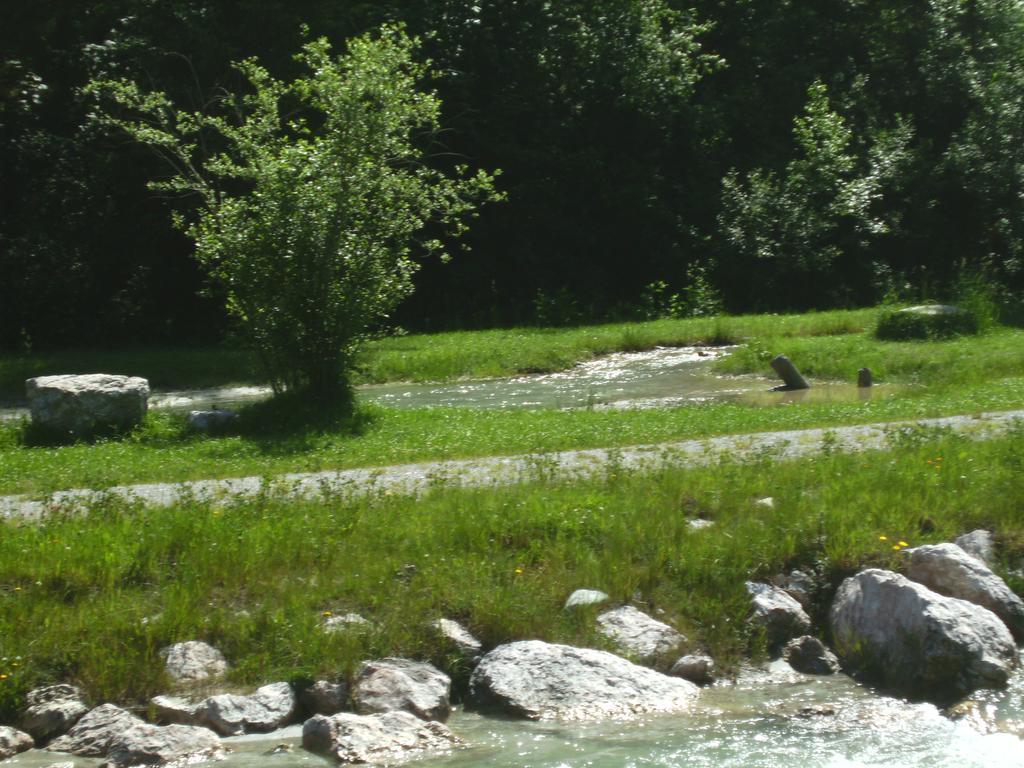 Apartment Gotthardt Flachau