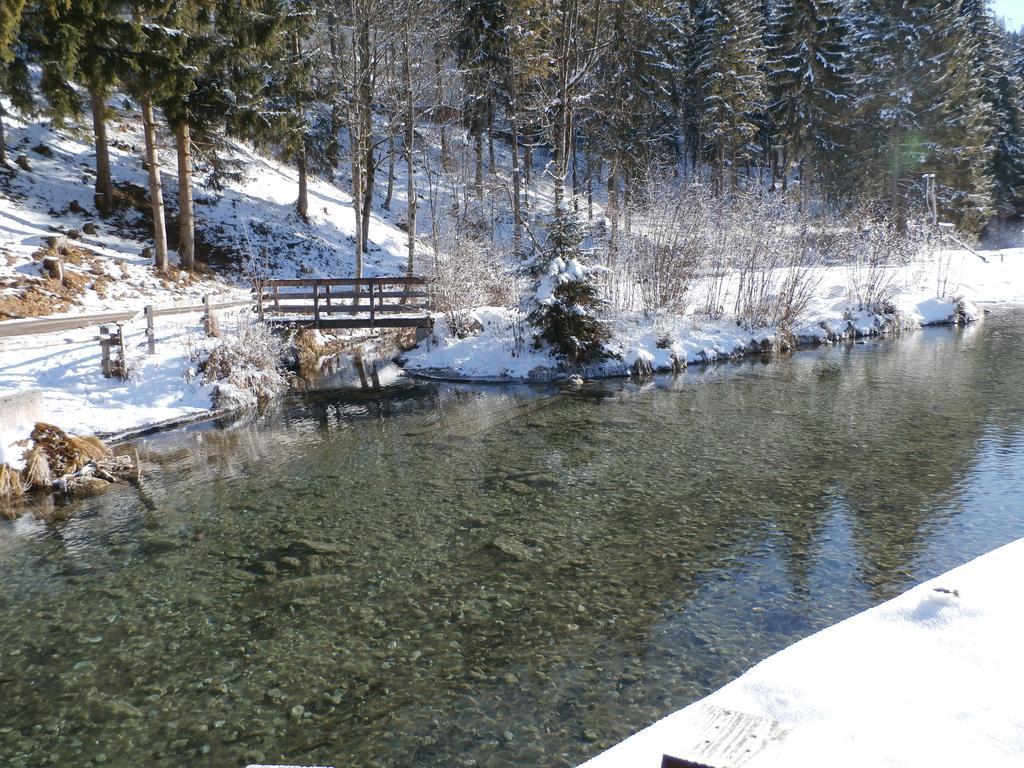 Gotthardt Apartment Flachau