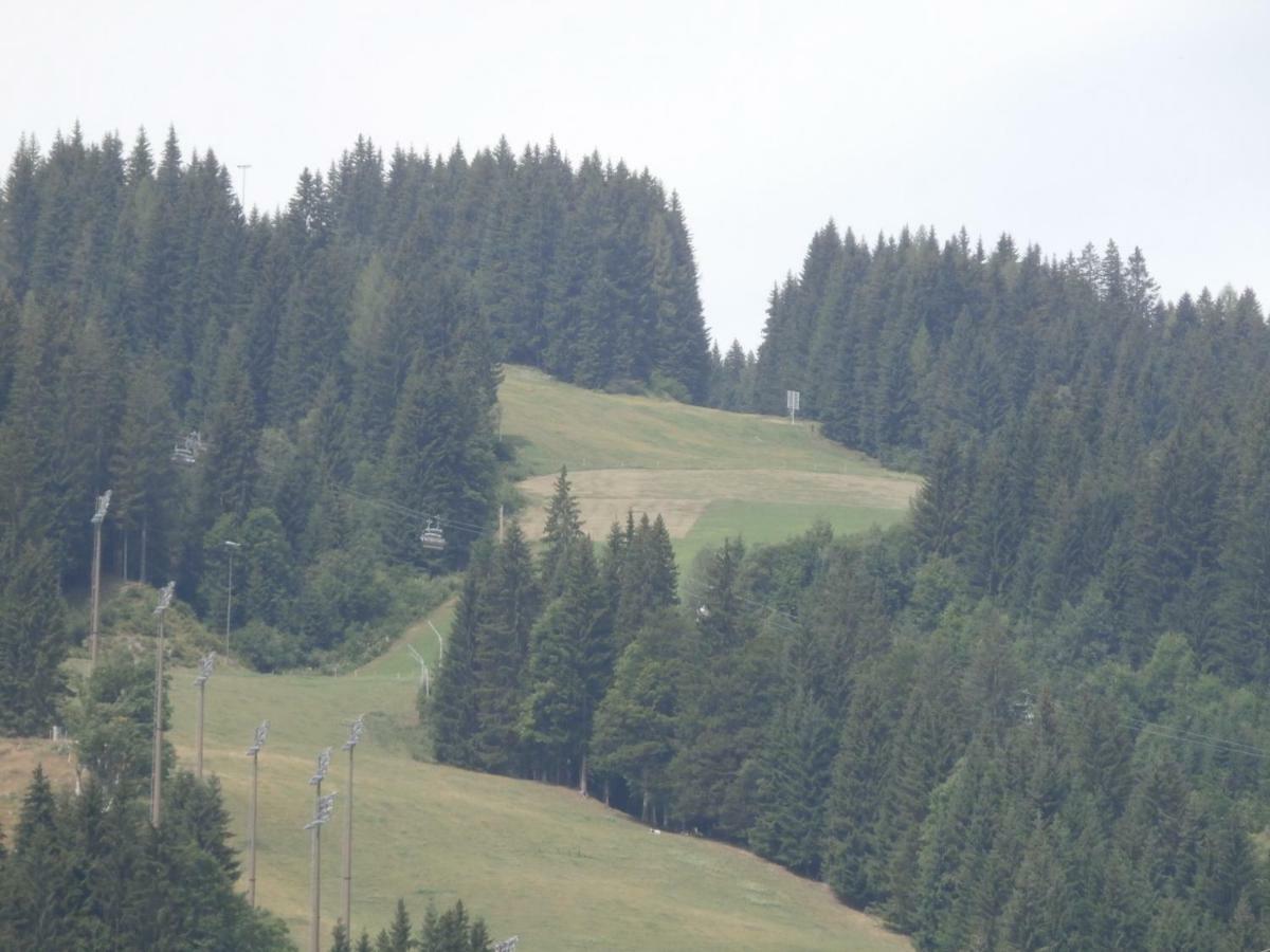 Gotthardt Flachau